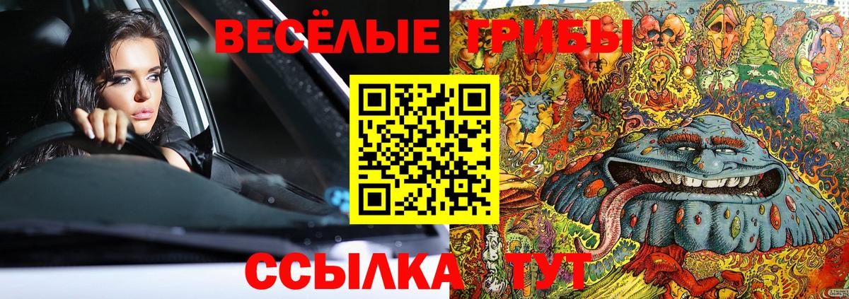 Псилоцибиновые грибы Cubensis Нурлат